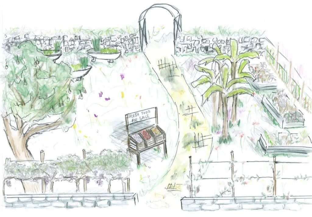 Community Garden